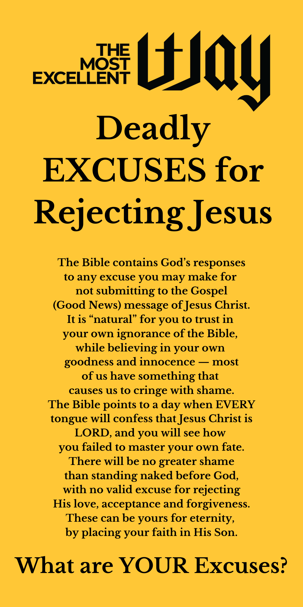 Deadly Excuses Brochure - Physical Copy Bundles