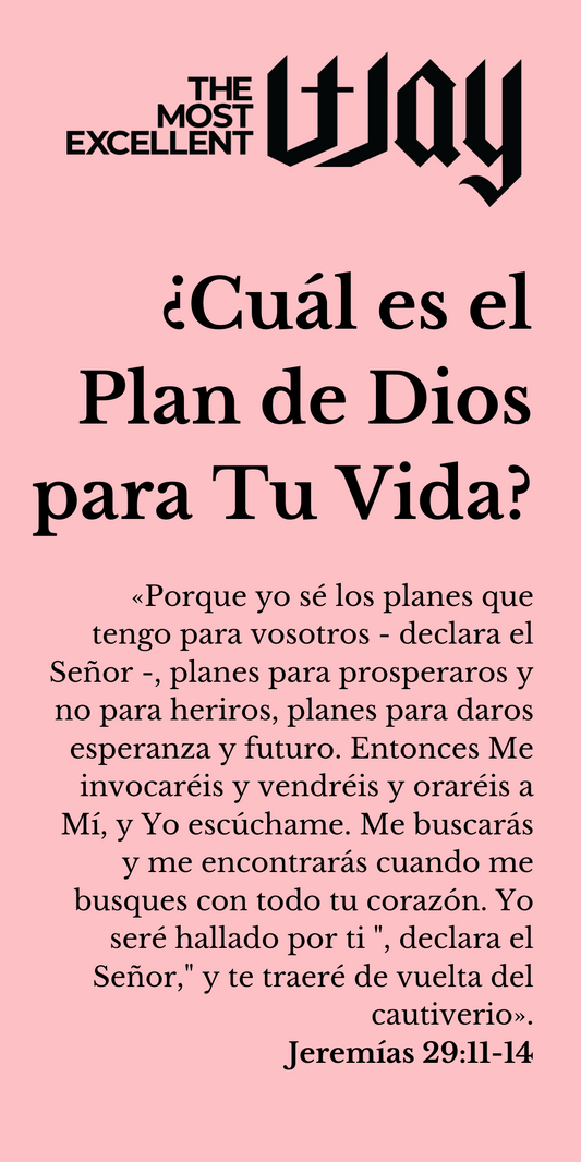 Spanish - God's Plan Brochure - PDF, Electronic Version