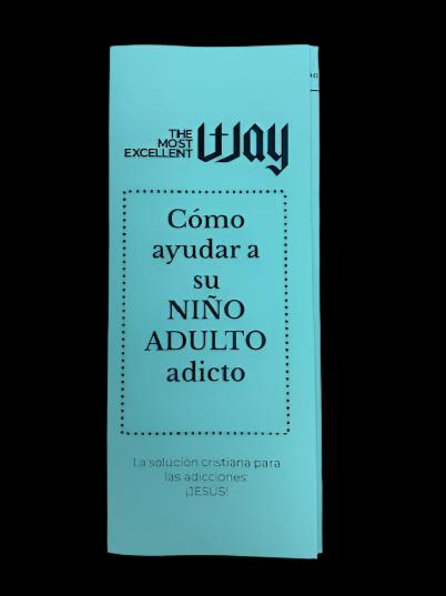 Spanish - Help Addict Child Brochure - Physical Copies Bundle