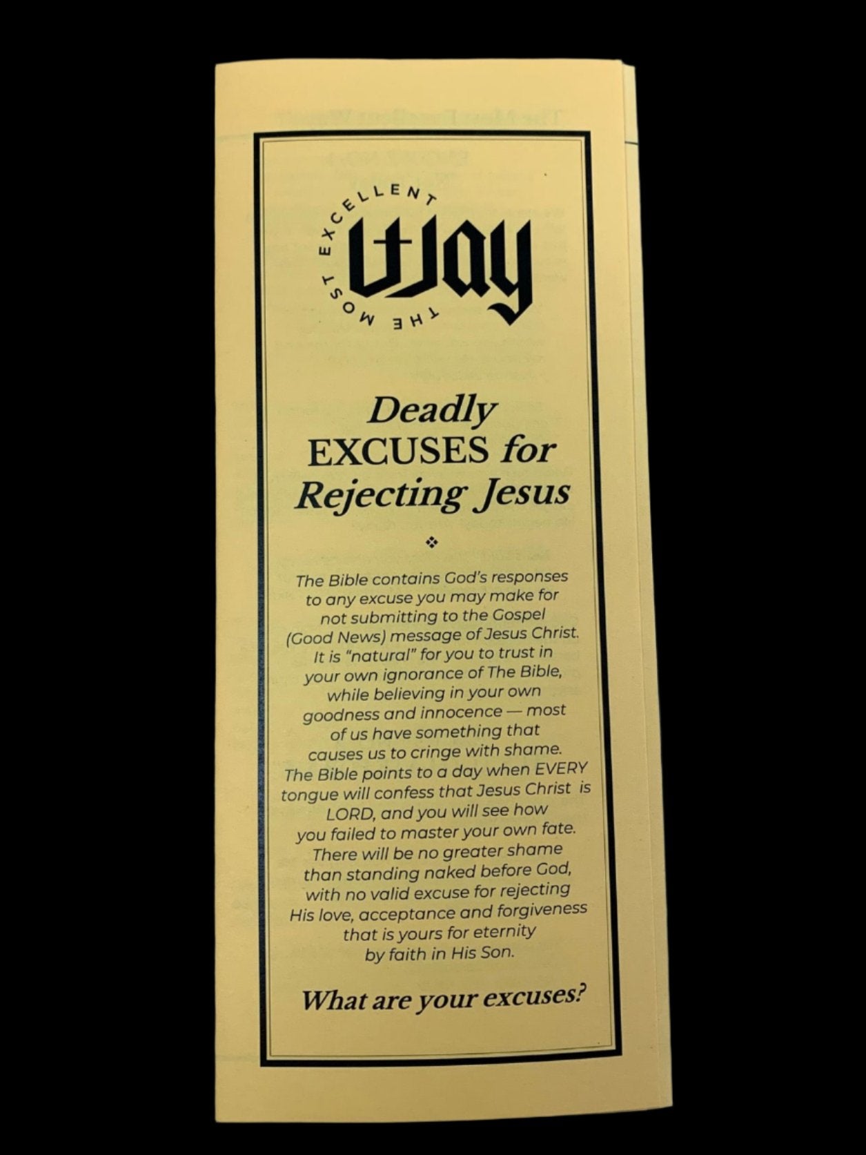 Deadly Excuses Brochure - PDF, electronic copy