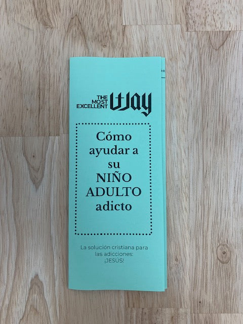 Spanish - Help Addict Child Brochure - Physical Copies Bundle