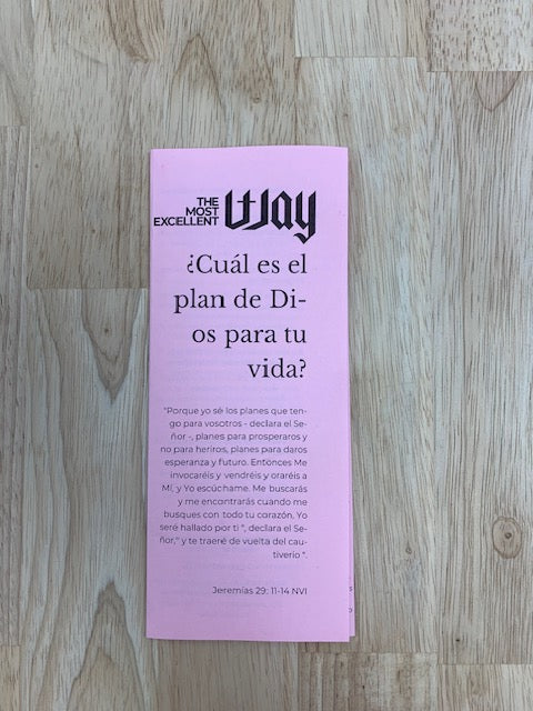 Spanish - God's Plan Brochure - PDF, electronic version