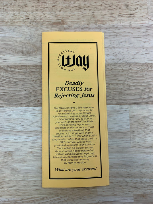 Deadly Excuses Brochure - PDF, electronic copy